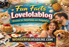 Fun Facts LoveLoLaBlog in 2026: 50 Amazing Secrets You Didn’t Know 4 Fun Facts Lovelolablog